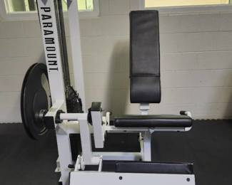 Paramount Leg Extension Model PL 2000