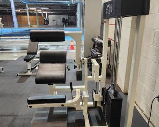 Paramount Lower Back Model AP-3300