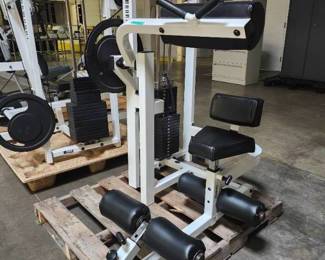 Paramount Abdominal Model PL 3200