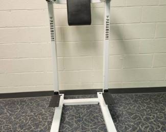 Paramount Vertical Knee Raise/ Dip Station