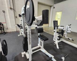 Paramount Tricep Extension Model PL 2200