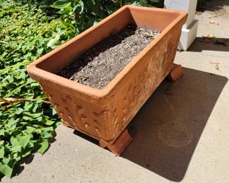 Terracotta planters 