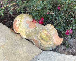 I am not sure if the family took this pig or if it is still in the yard. In any case - he is very cute! 