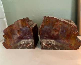 Rainbow Petrified Wood Bookends
