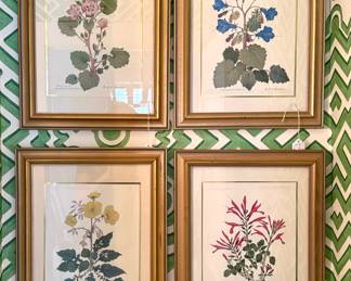 H. R Mockel Wildflower Collection