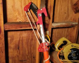 Tree pruner with extension handle