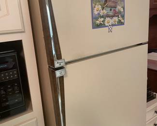 Fridge...great for garage