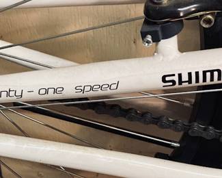 26” Womens/Girls Mountain Bike 21 speed