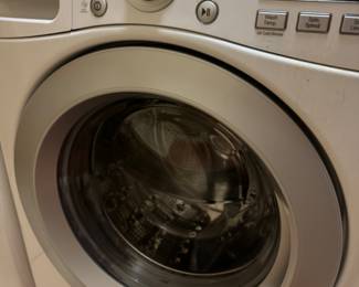 High Capacity LG Electric Dryer.