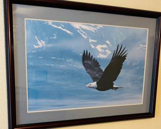 Large Framed Flying Bald Eagle Wall Art.