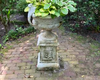Great Cement Planter