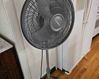 Floor fan