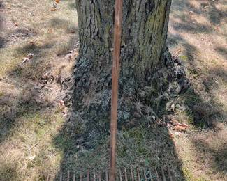 Antique rake 