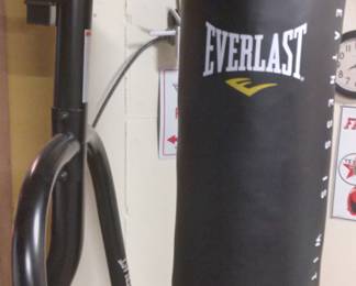 Everlast Heavy Bag.