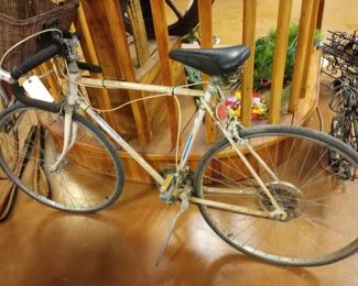 Ted Williams (Sears Roebuck) Free Spirit Bike.