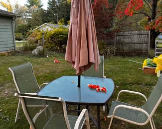 The backyard has plethora of outdoor furniture, grills, etc...