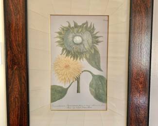 Framed Botanical #2