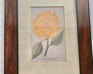 Framed Botanical #1
