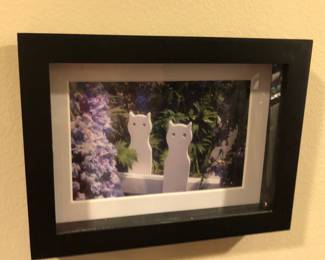 Framed Photography 