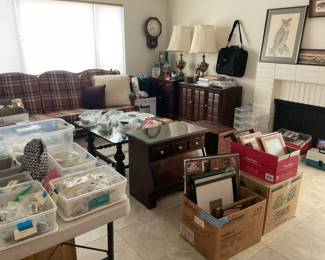 Overall pic-living room