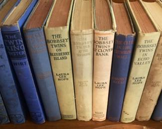 The Bobbsey Twins books