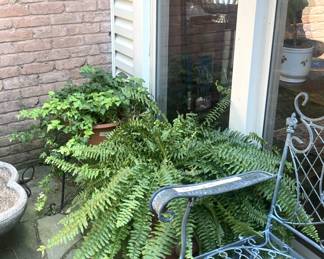 More green plants