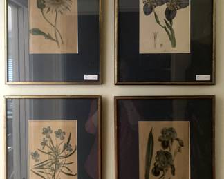 Framed botanicals