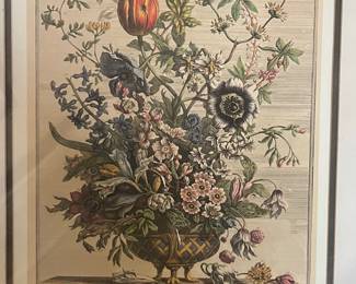 Vintage print, Robert Furber, "12 Months of Flowers"  Only February is pictured, but the entire series is available 