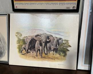 Elephants, Ralph S Coventry, 1976