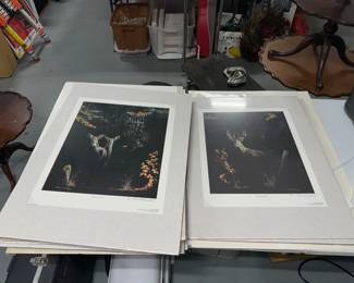 WILDLIFE ART PRINTS