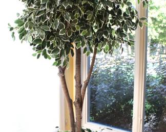 We have a number of quality made silk trees/plants and planters.