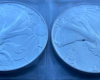 Two Silver Eagles