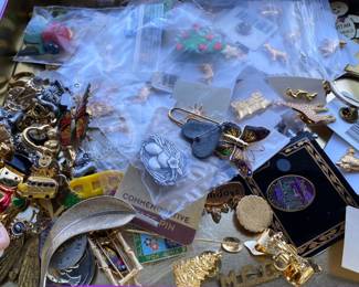 Assorted Costume Pins