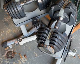 Nautilus Dumbbell System 