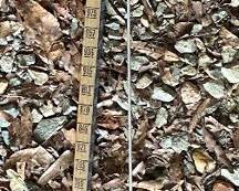 Wooden Fuel Measuring Stick Northwood Oil Company High Point, N.C.