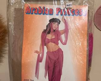Arabian Princess adult costume