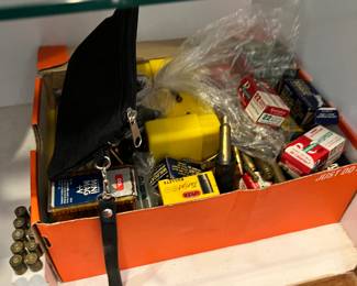 Lots of ammo