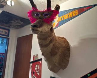 Cupic 4 Point Antelpoe