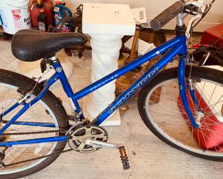 Schwinn bike