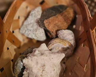 More rocks and fossils