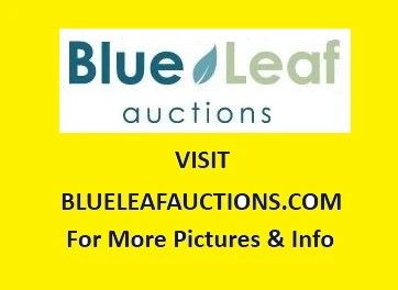 Blue Leaf