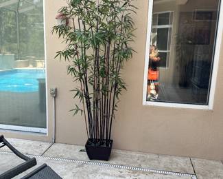 #53 - $50.00-$60.00 each - Outdoor Faux Bamboos plant 8' 2"