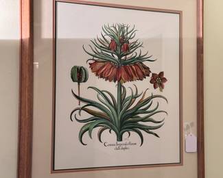 Framed botanical