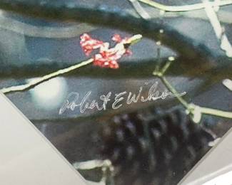 ARTIST SIGNED FRAMED SQUIRREL PHOTO