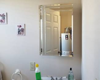 Mirrored medicine cabinet