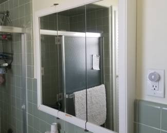 Mirrored medicine cabinet