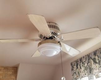 Illuminated ceiling fan