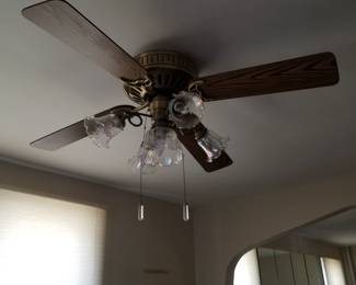 Ceiling fan with lights