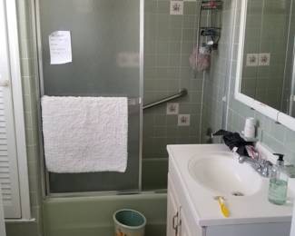 Shower doors