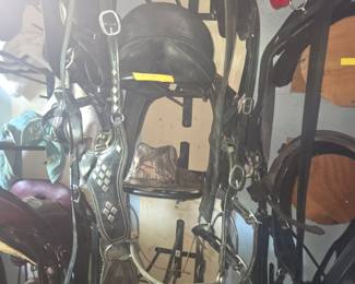 Lg draft horse tack for marathon carriage